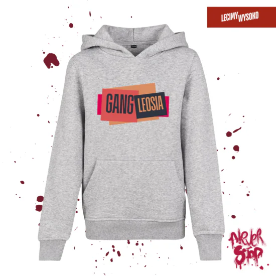 Bluza dziecięca Gang Leosia, kolor szary, odzież z nadrukiem