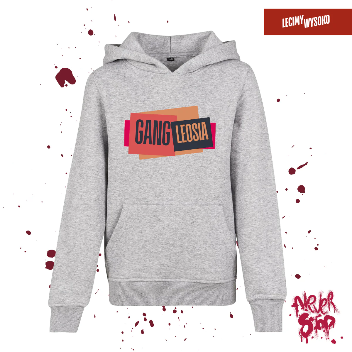 Bluza dziecięca Gang Leosia, kolor szary, odzież z nadrukiem
